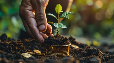 Mano nutriendo una planta en el suelo con monedas