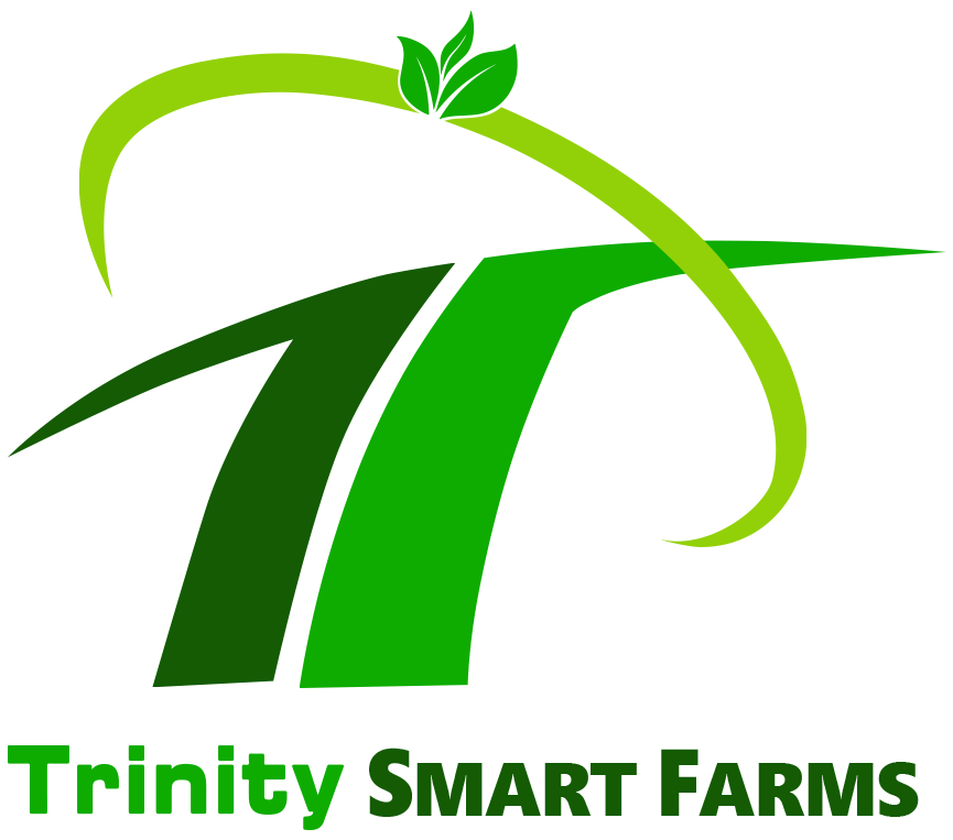 TSF logo